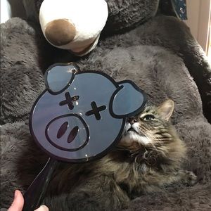 Shane Dawson Pig Mirror